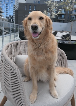 Heidi sitting on a chair on a rooftop terrasse